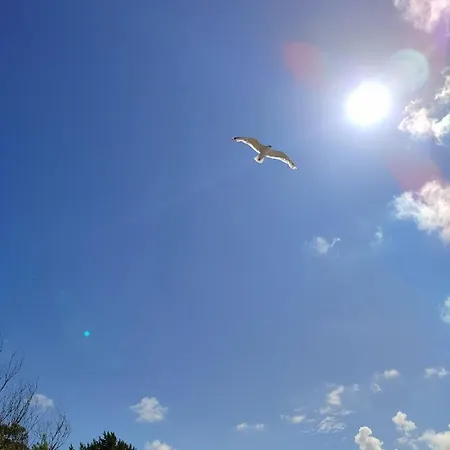 Apartamentai 4f * Palanga