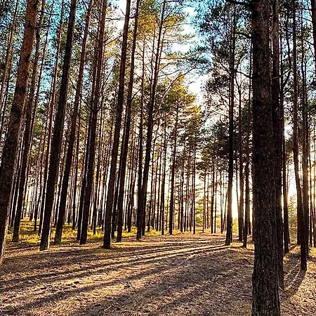 Apartamentai 4f * Palanga