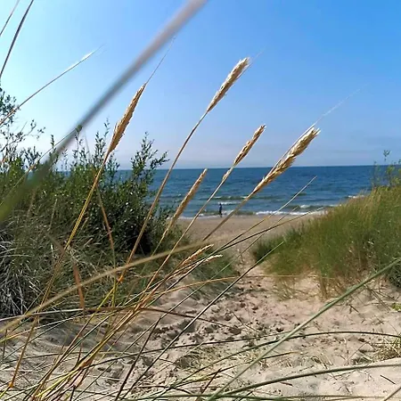 Apartamentai 4f Daire *