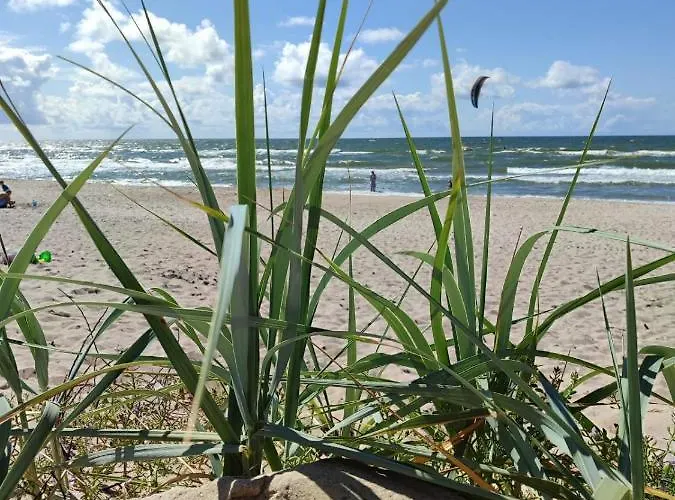 Apartamentai 4f Apartman Palanga