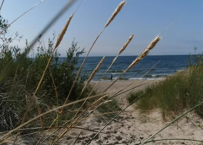 Apartamentai 4f * Palanga