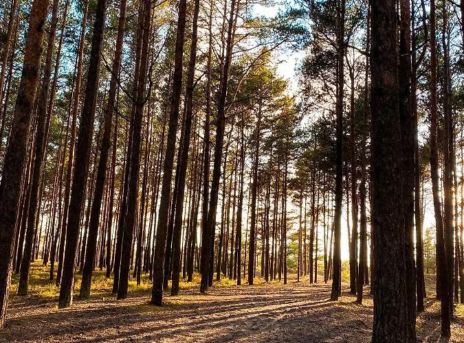 Apartment Apartamentai 4f Palanga