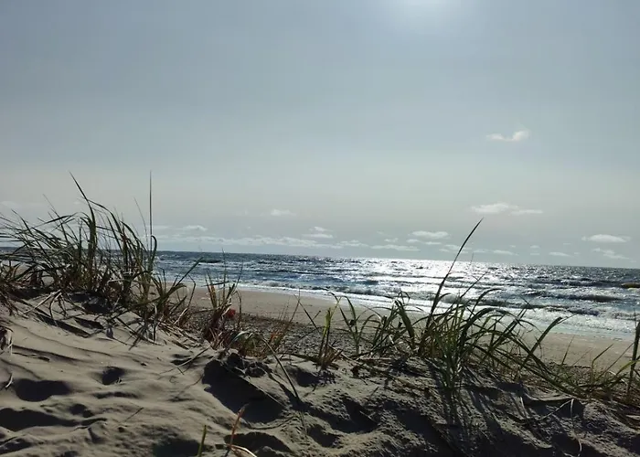 Apartment Apartamentai 4f *